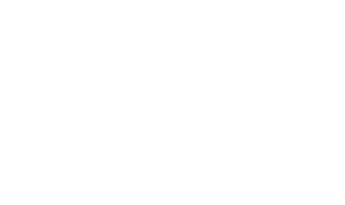 Logo Nirvana Hotels Logo von den Nirvana Hotels