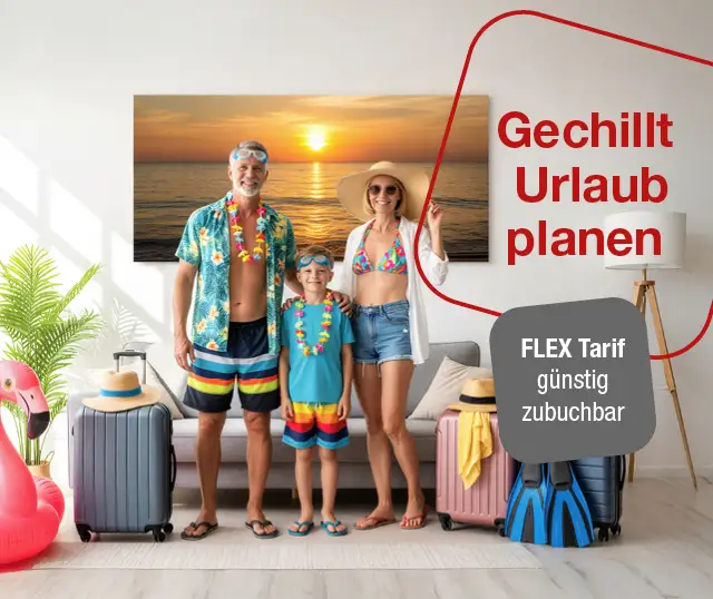 Bild Bild Flex Tarif