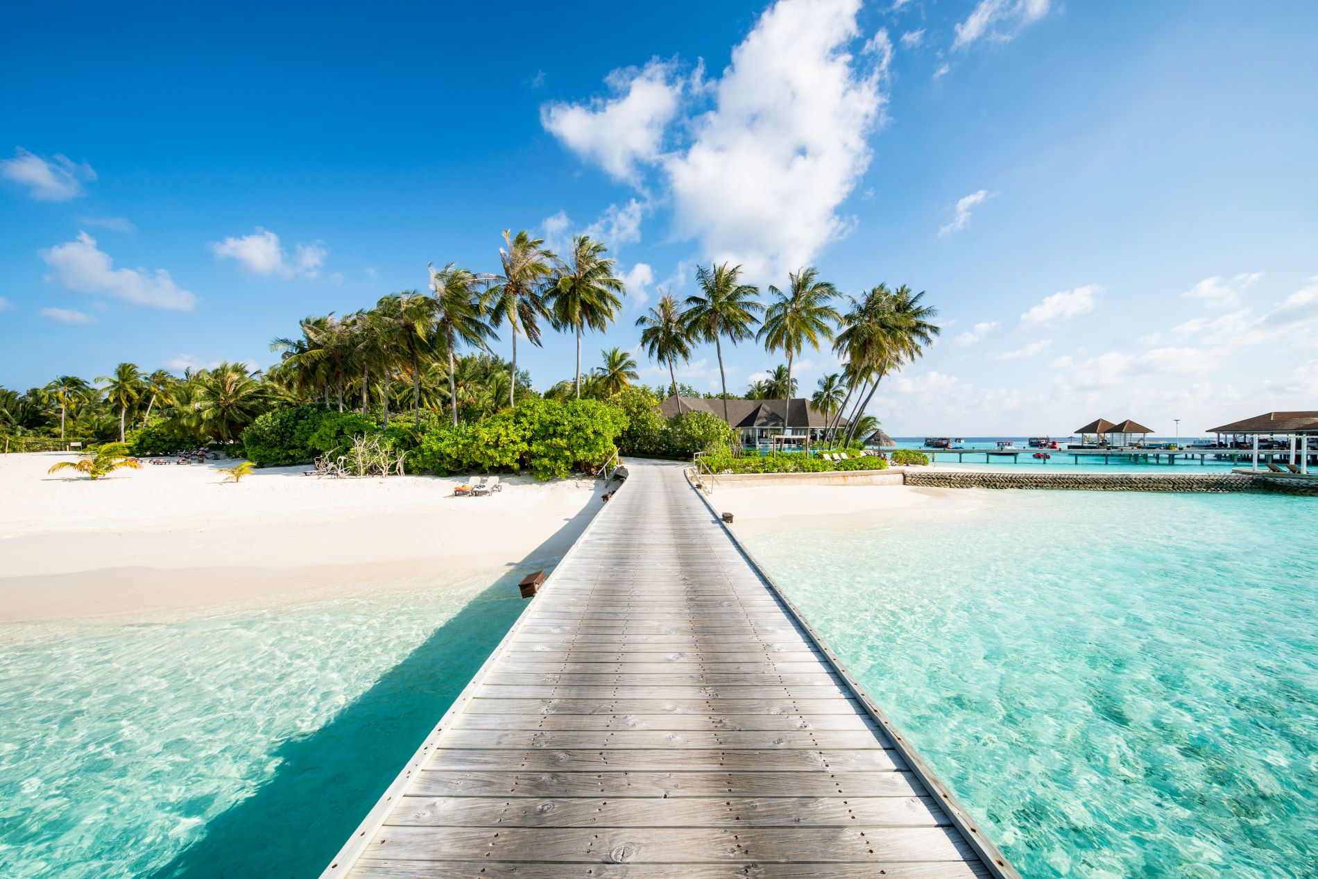 Insel Saona, Dominikanische Republik Tropischer Strand mit Palmen in der Karibik.